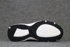 Dior B30 'White Brown Beige'